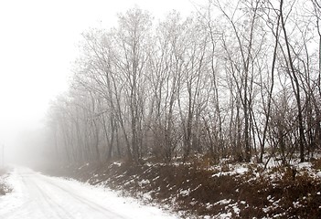 Image showing Fog