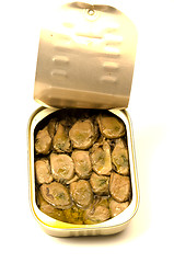 Image showing smoked oysters in tin can