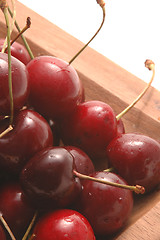 Image showing cherries