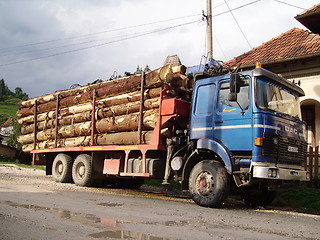 Image showing Wood transport