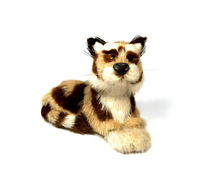 Image showing Mini Tiger