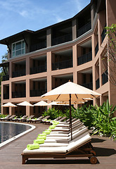 Image showing Tropical living