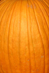 Image showing Up Close - Pumpkin