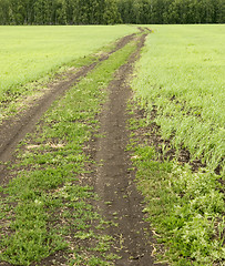 Image showing road