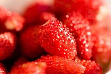 Image showing wild strawberries 