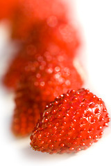 Image showing wild strawberries 