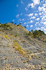 Image showing Stony seacoast