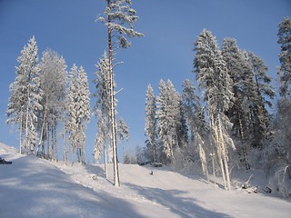 Image showing winter landscape