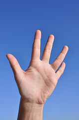 Image showing Woman hand- five fingers open