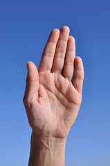 Image showing Woman hand  - five fingers close