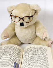 Image showing clever teddy