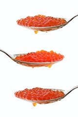 Image showing Caviar at spoon 