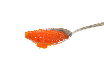 Image showing Red caviar at spoon 