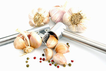 Image showing garlic