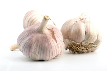 Image showing garlic