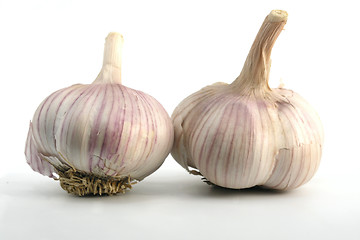 Image showing garlic