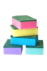 Image showing Sponges