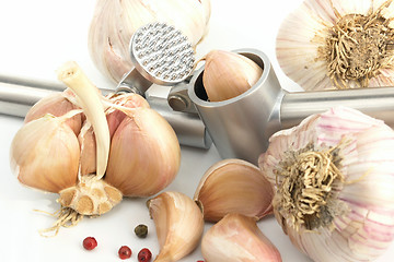 Image showing garlic