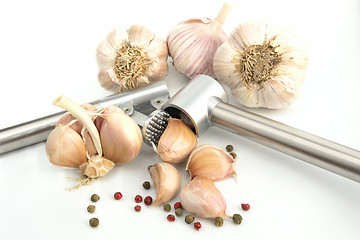 Image showing garlic