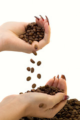 Image showing Female hands and coffee