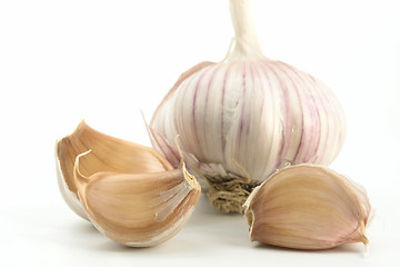 Image showing garlic