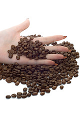 Image showing Female hand and coffee beans 