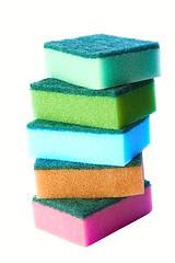 Image showing Sponges