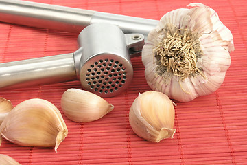 Image showing garlic