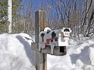 Image showing cow mail box