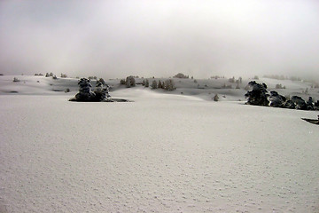 Image showing snow landscape