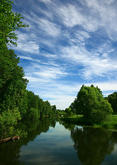 Image showing Summer landscape