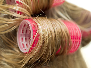Image showing Hair Curlers