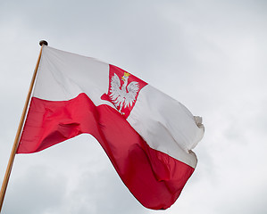 Image showing Polish Flag