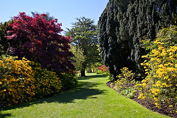 Image showing Glorious English Garden