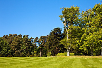 Image showing Striped lawn