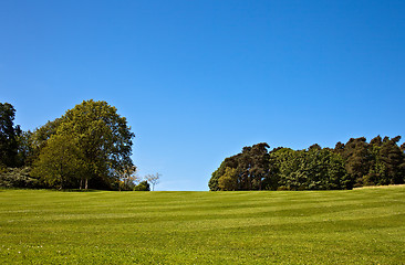 Image showing Striped lawn