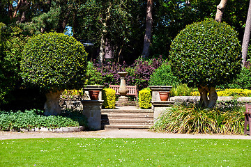 Image showing English country garden