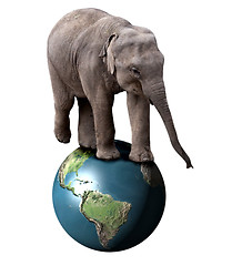 Image showing Elephant and Earth