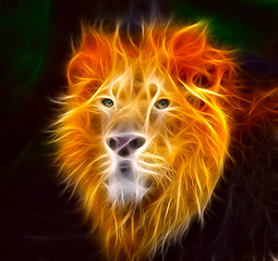 Image showing Lion in flames