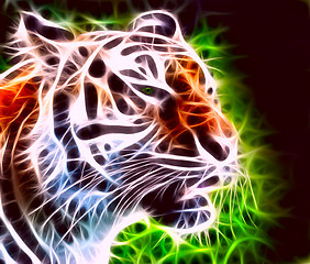 Image showing Snarling tiger