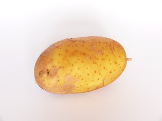 Image showing Potato