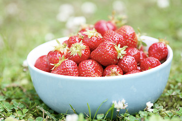 Image showing Fresh strawberries in a bowl.