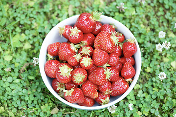 Image showing Fresh strawberries in a bowl.