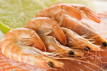 Image showing Prawn