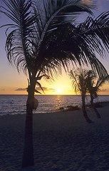 Image showing Sunset - Bayahibe - Dominican republic