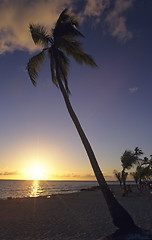 Image showing Sunset - Bayahibe beach - Dominican republic