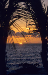 Image showing Sunset on ocean - Bayahibe - Dominican republic