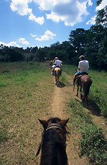 Image showing Overview horse riding  in Dominican republic