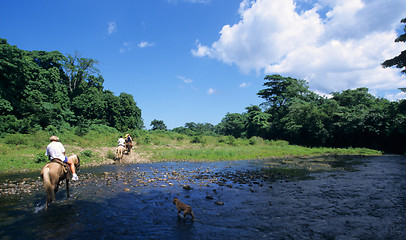 Image showing Horse riding crossing a river  in Dominican republic