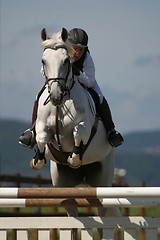 Image showing Horse and rider